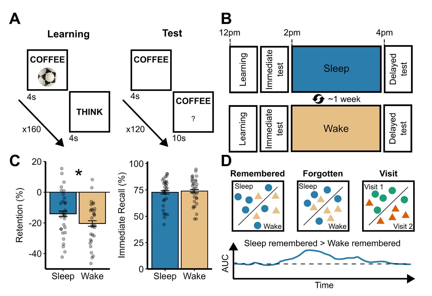 Fig 1. Experimental design. https://doi.org/10.17605/OSF.IO/TPWVB